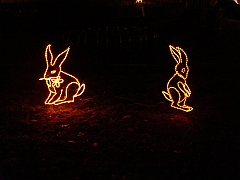 046 Toledo Zoo Light Show [2008 Dec 27]